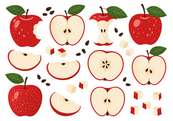Red Apple Vector Illustration Slices, Bites, Seeds 