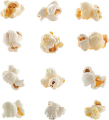set of seashells