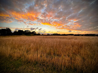 Magnificent summer sunset seen over arable land in the British isles. The low sun has illuminated the base of the clouds.