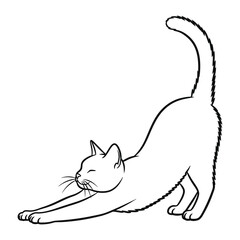 Cat Stretching: A minimalistic line art illustration of a sleek cat in a full stretch, radiating calm and relaxation.