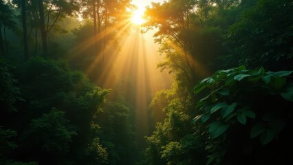 Golden sun rays shining through dense green forest canopy at sunrise with lush foliage and dramatic light beams creating a peaceful atmosphere concept of eco tourism, meditation retreat, wellness