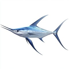 A swordfish with extended bill and smooth body lines, profile view, fish isolated on white background color, photorealistic accuracy, good composition, high resolution