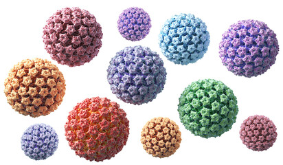 Human papillomavirus infection, HPV virus isolate on white background 3d illustration.