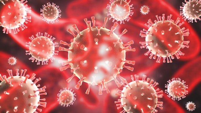 Arenaviruses infect rodents and humans. Red cell