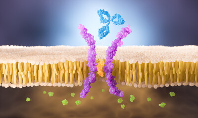 Cell membrane receptors and antibodies 3d illustration.