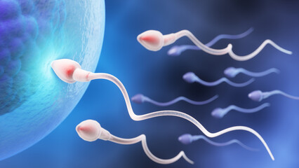 Sperm approaching egg cell for fertilization