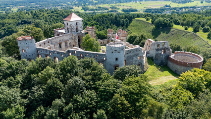 Fototapeta premium Tenczyn Castle, aerial view, Poland