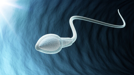 Sperm Cells Swimming Towards Fertilization