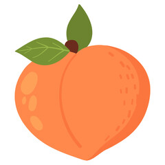 peach fruit illustration