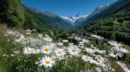 Sun-drenched alpine valley vista, abundant daisies in foreground, snow-capped peaks in background, lush green hillsides