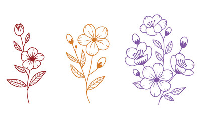 Hand-Drawn Floral and Botanical Sketch Set, vector illustration of a set of flowers