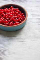 Close-Up of Fresh Figs in a Round Blue Bowl
