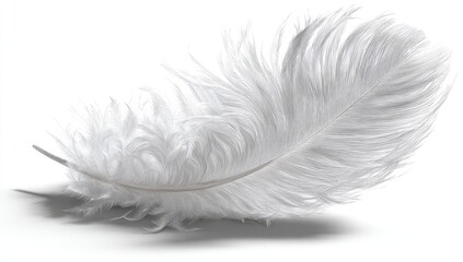 Obraz premium Delicate white feather gracefully curves against a plain white background