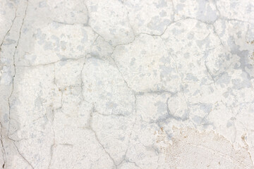Close-up of cracked white paint texture with darkened spots