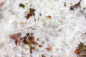 Texture of frozen grass and autumn leaves under ice close-up