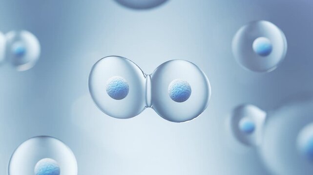 Microscopy of cell spreading, cell division, cell connections, biochemistry and DNA research in the science laboratory of the future.