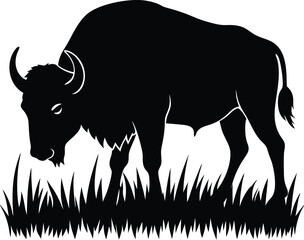 Black vector silhouette illustration of a buffalo in the grass on a farm