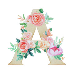 Obraz premium Adorable hand-painted vintage watercolor Floral A , on transparent background