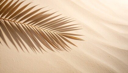 Light beige palm leaf shadow on textured surface