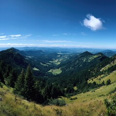 Fototapeta premium Panoramic mountain vista. Vast valley, lush forests, clear sky