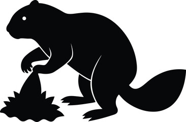 Vector animal drawings of a funny cartoon cat and dog, as well as a wild elephant and cute bear illustration, with a black silhouette of a hippo and pig