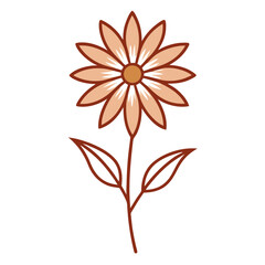 minimal osteospermum serenity bronze magic flower line art vector on white