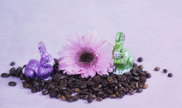 Oster Dekoration mit Kaffeebohnen und Bl&uuml;te