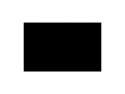 Solid black rectangle