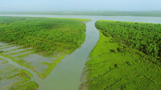 4K Drone footage. Drone view of forest in sundarbans. Sundarbans in Bangladesh with scenic beauty. scenic beautiful natural atmosphere
