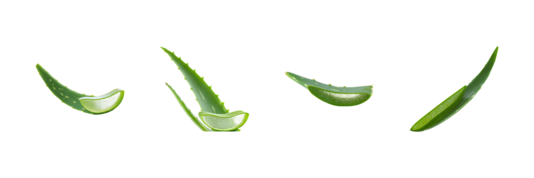 Aloe Vera Leaf Slices Set. Natural Skincare And Healing Properties Collection Isolated On Transparent Background