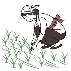Traditional farmer planting rice seedlings in a paddy field with a simple line art style