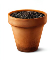 Terracotta pot filled with dark soil, isolated on white (1)