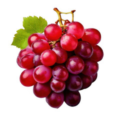 Fototapeta premium cluster of red fresh grapes isolated on white or transparent.