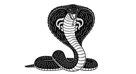 Fototapeta premium Elegant Black and White Cobra Serpent A Striking Illustration of a Venomous Snake