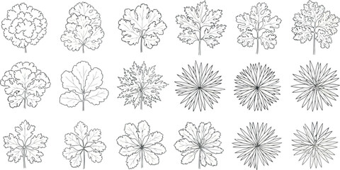 Vector art of assortment of fifteen detailed leaf and tree top view illustrations