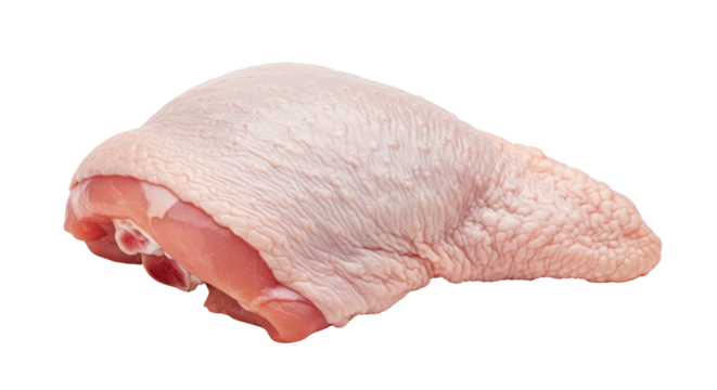 Isolated uncooked raw chicken leg quarter ready to cook, for restaurant menu or recipe