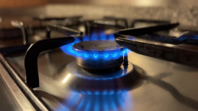 Gas stove burner in action