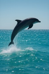 Fototapeta premium Dolphin leaping above turquoise ocean waves