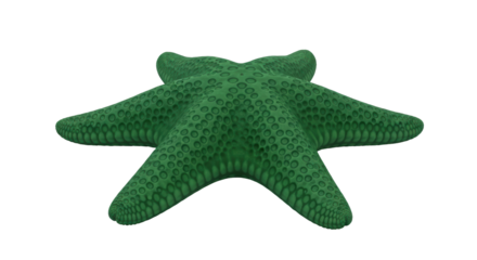 Isolated green starfish with bumpy surface, sea animal, marine invertebrate, nature life