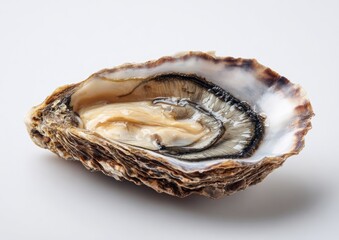 Half-opened oyster, showcasing interior