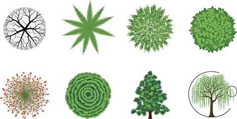 Vector art of collection of topdown view tree illustrations