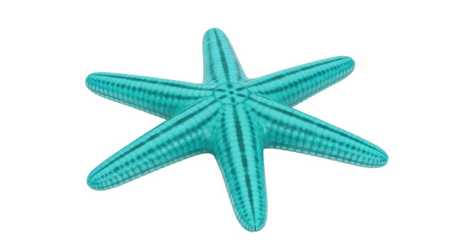 Isolated blue starfish showing marine biology, ocean life, summer vibes, vacation, and aquatic theme