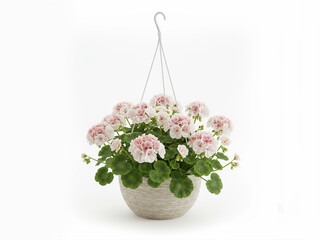 Naklejka premium bouquet of flowers geraniums in a hanging basket