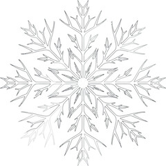 Vector art of intricate black and white snowflake illustration