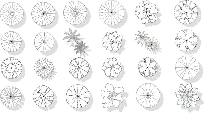 Vector art of assortment of diverse tree top view sketches