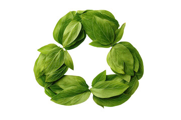 Green Leaf Recycle Symbol on Transparent Background
