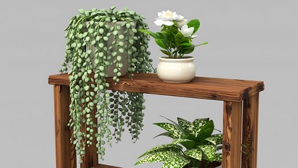 Indoor plants on a rustic wooden shelf with a grey background