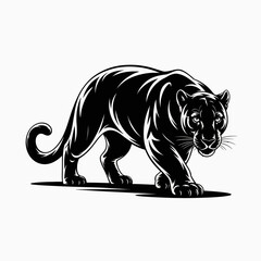 tiger vector illustration