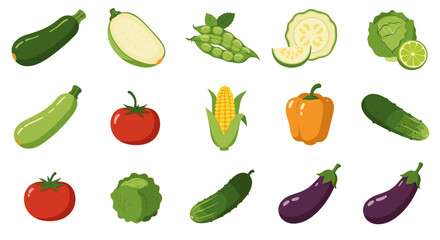 Fototapeta premium Fresh and colorful vegetables collection for healthy cooking