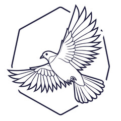 Elegant line art illustration of a white dove in flight with outstretched wings set against a minimalist hexagonal frame symbolizing freedom and peace